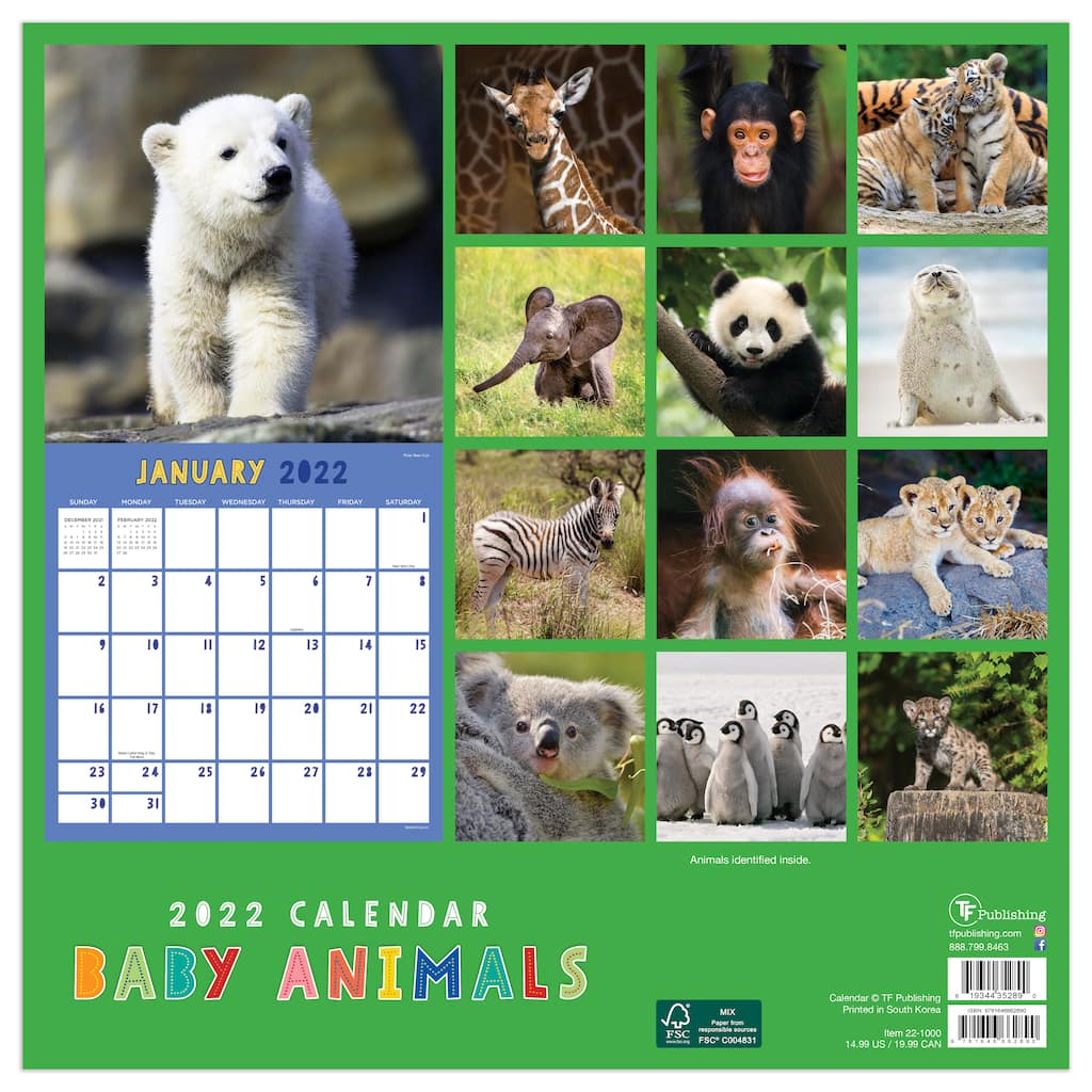 tf-publishing-baby-animals-wall-calendar-michaels